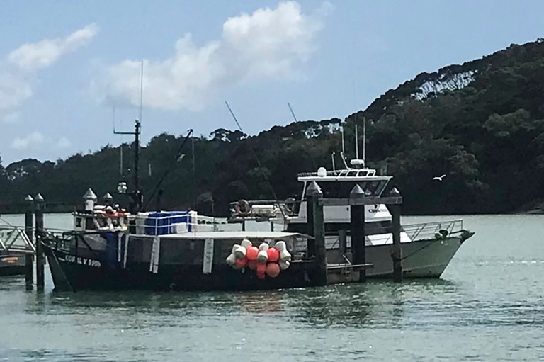 Four dead and one missing after New Zealand fishing boat hit by ‘rogue wave’: Report