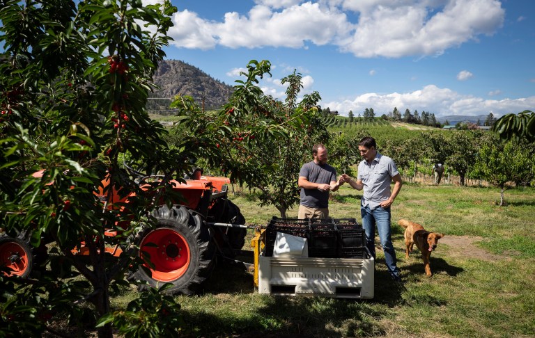 Trudeau fertilizer emissions plan sparks backlash from farmers and provinces