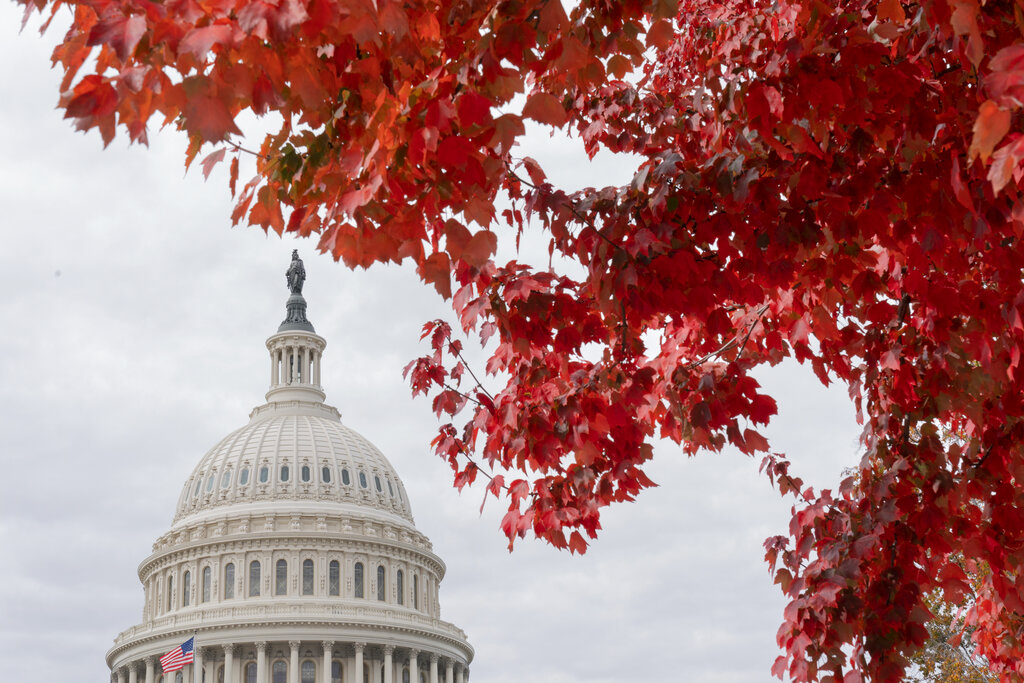 GOP lawmaker’s ballot mix-up shook up outcome of House GOP whip race