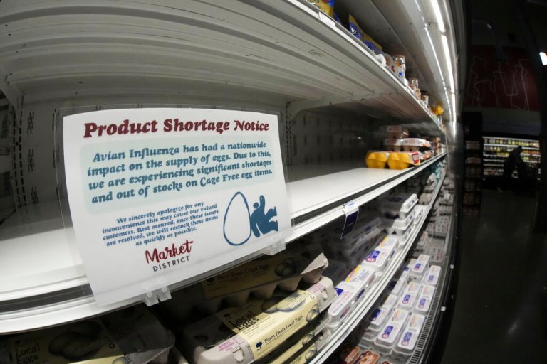 Bird flu outbreak spurs fears it could fuel next pandemic