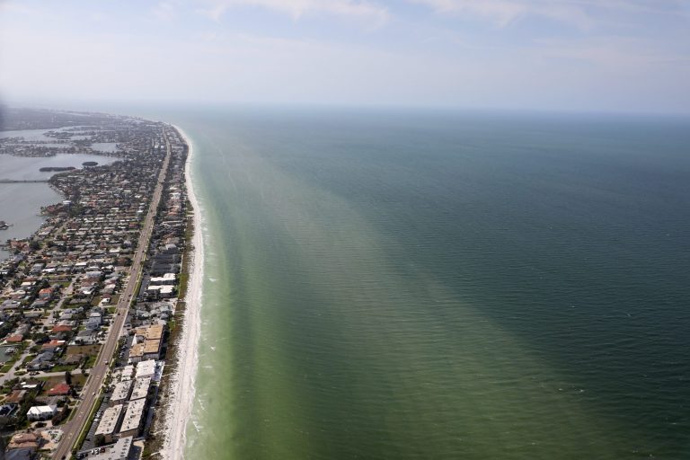 Florida residents report breathing issues, burning eyes amid toxic red tide algae flare-up
