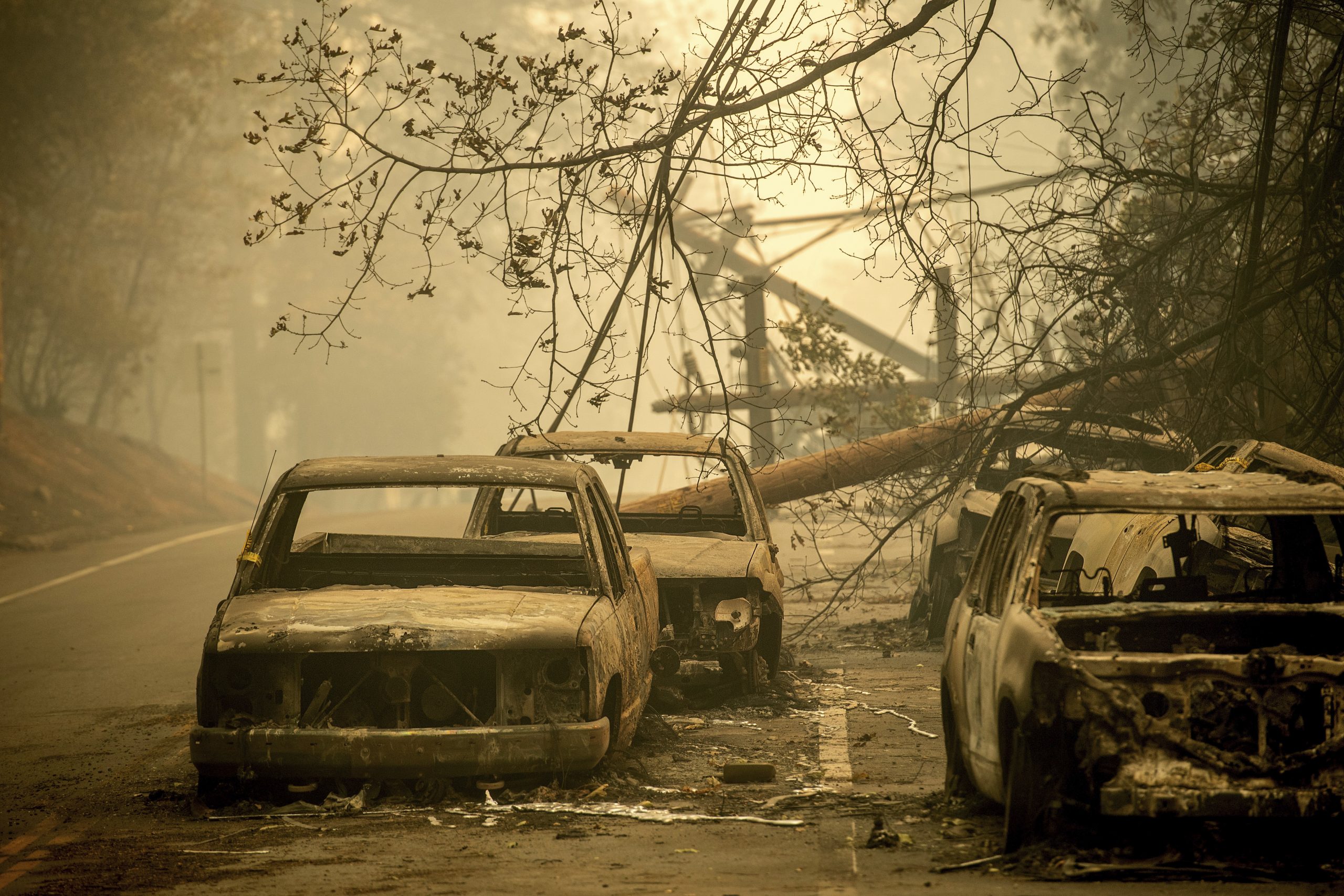 Trump slams Biden on Maui fires: ‘Most incompetent president in the history of our country’