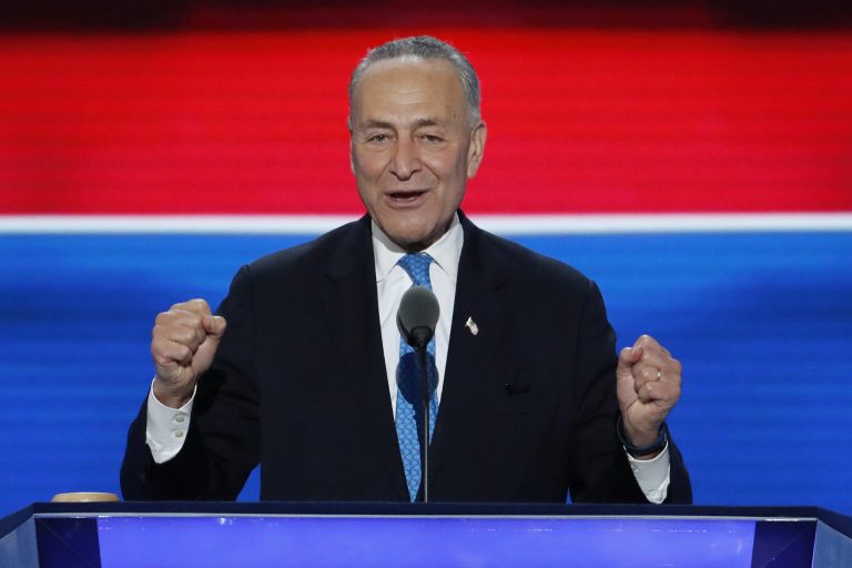 "Ninety-five percent of the Bernie supporters, prediction, will vote for Hillary Clinton," Chuck Schumer said. (AP Photo)
