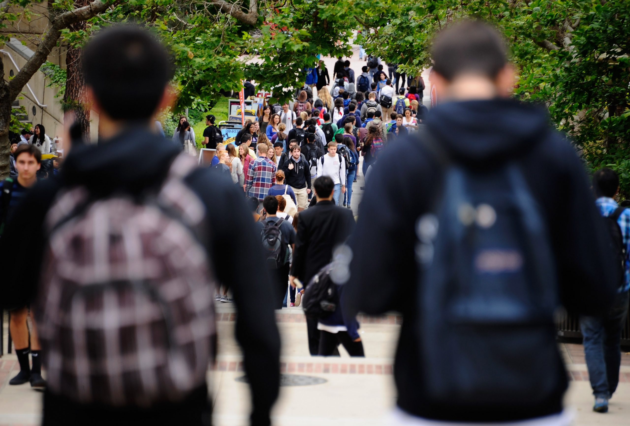 Campus serial rapist survey debunked