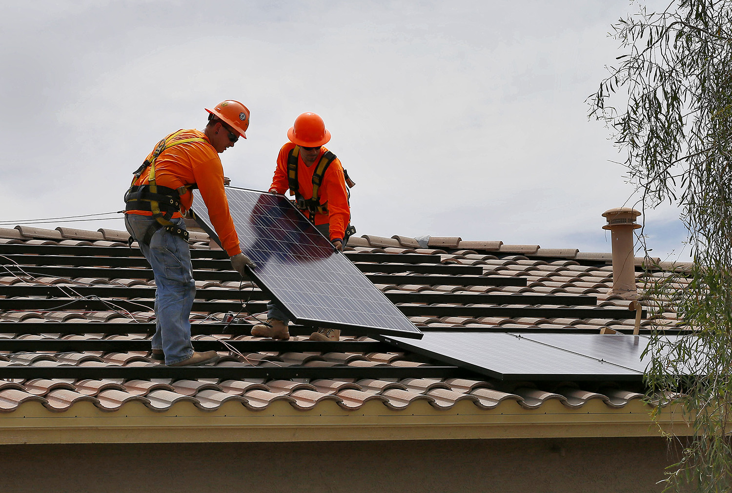 Florida votes down measure to scrub rooftop solar