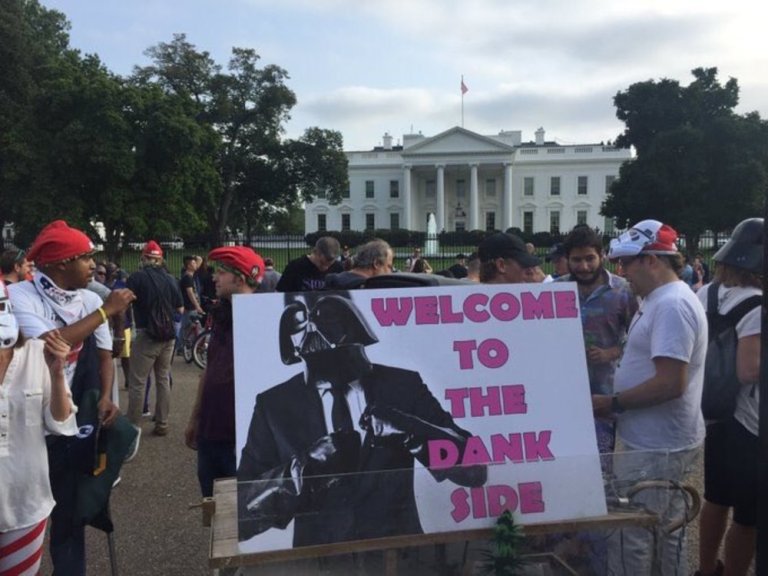 May The Bud Be With You