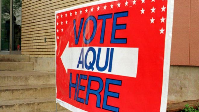 Election observer finds no evidence to support Trump claims of voter fraud