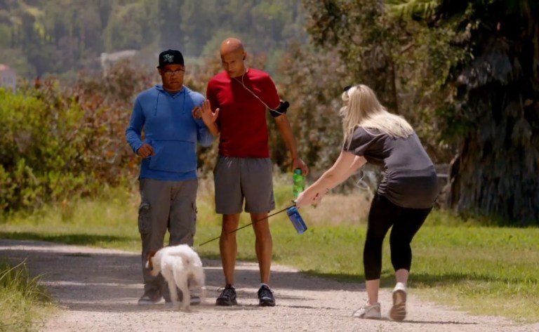 Taking Questions About Your Canine-Nine-Nine