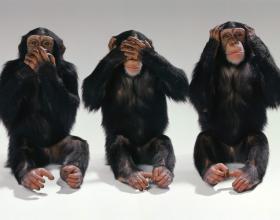 WaPo: Unions Outspending Corporations on Campaign Ads