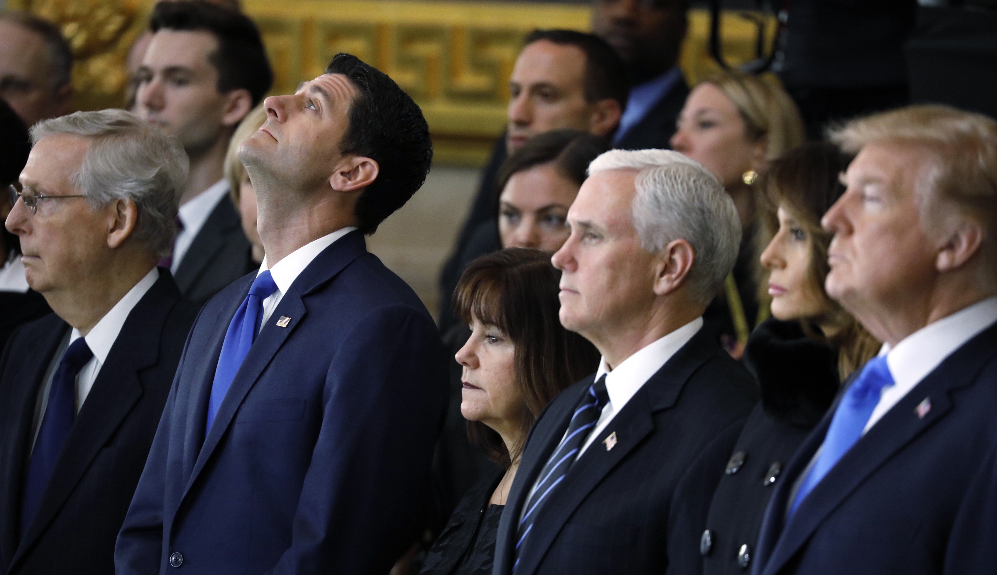 Four species of Beltway Republicans