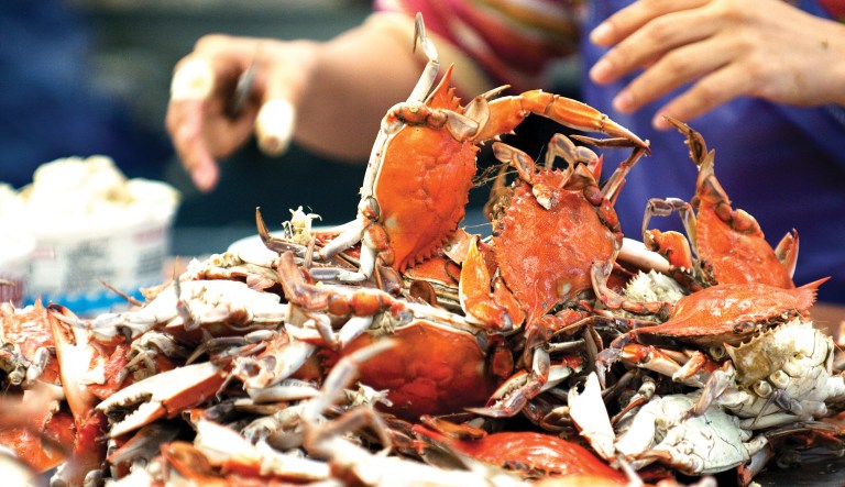 Trump mends fences with Maryland crab houses