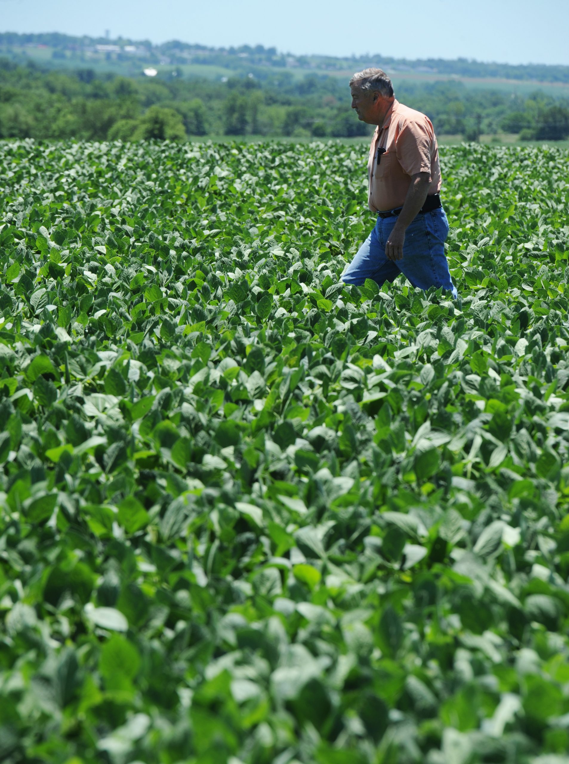 Agriculture industry seeks to create right to farm