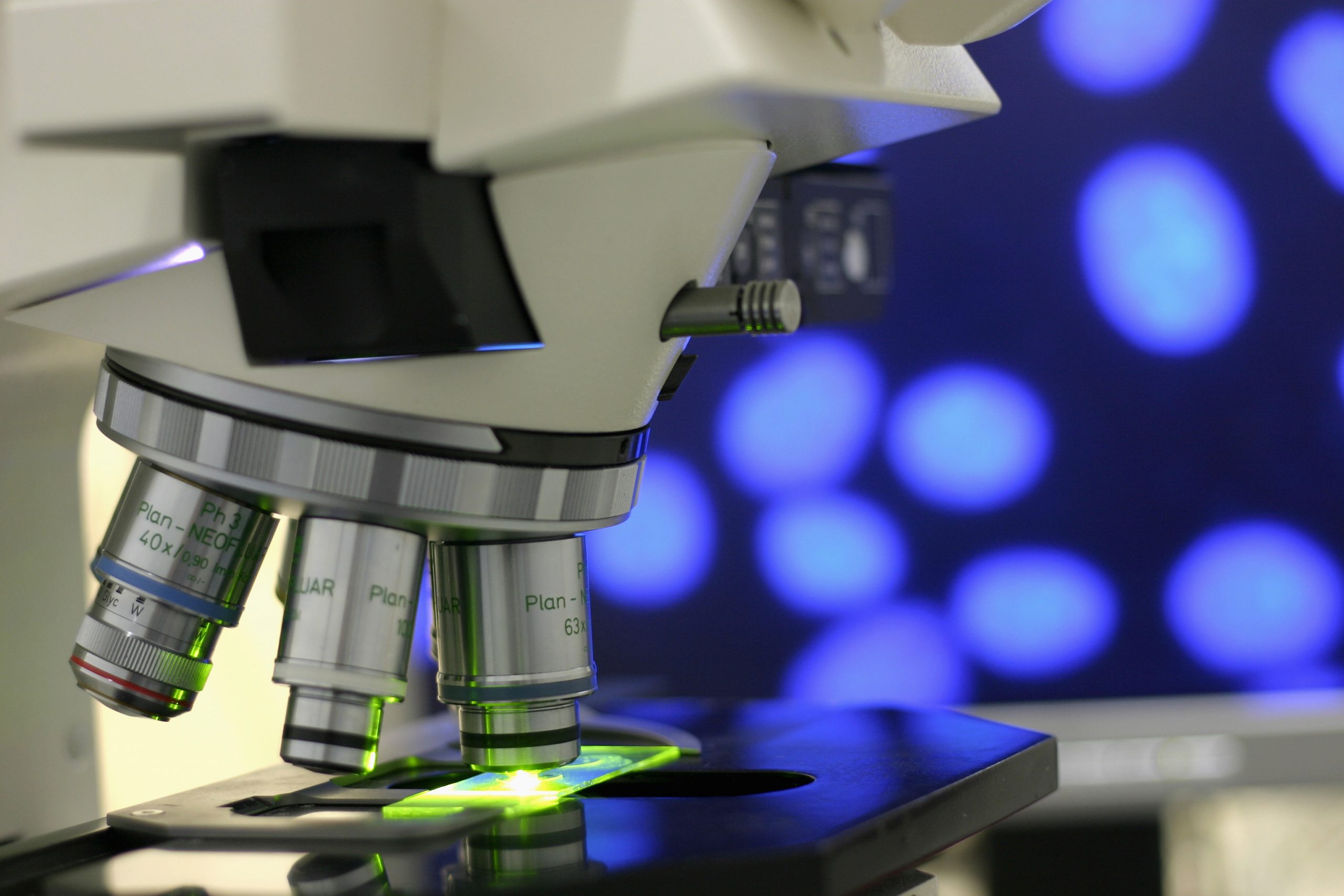 FDA blocks innovation in adult-stem-cell research