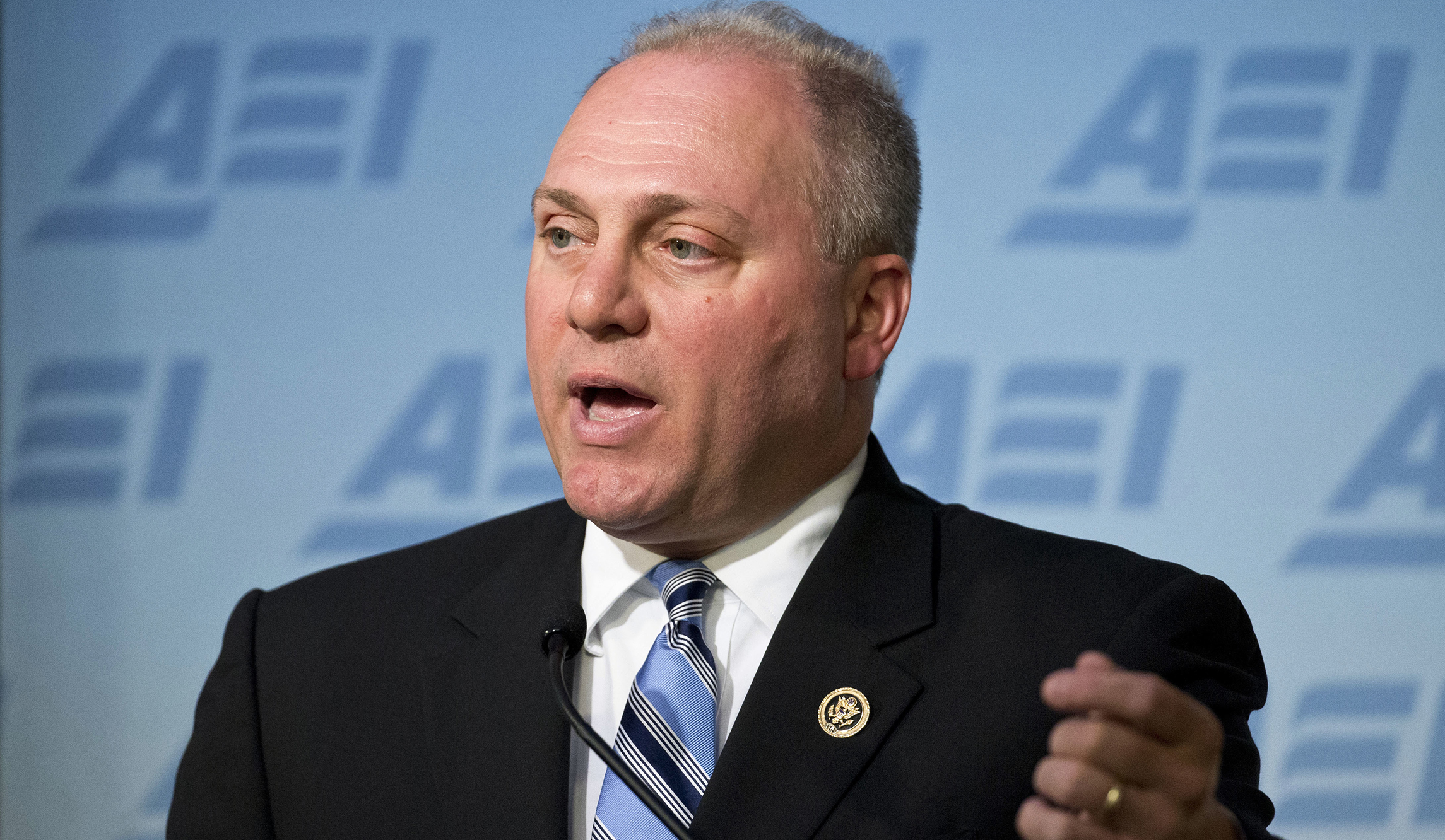 Steve Scalise pushes back on gun regulations