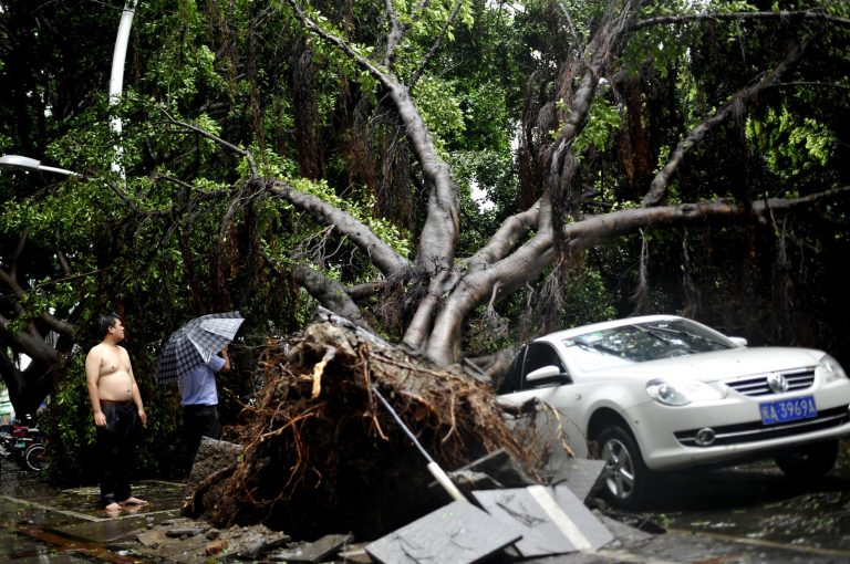 Residents look at a tree that fell on a car in the aftermath of Typhoon Matmo in the city of Fuzhou in southeast China's Fujian province Wednesday, July 23, 2014.   Typhoon Matmo churned ashore in southeastern China on Wednesday and was downgraded to a tropical storm, while the death toll from last week's more powerful Typhoon Rammasun rose further.   (AP Photo) CHINA OUT