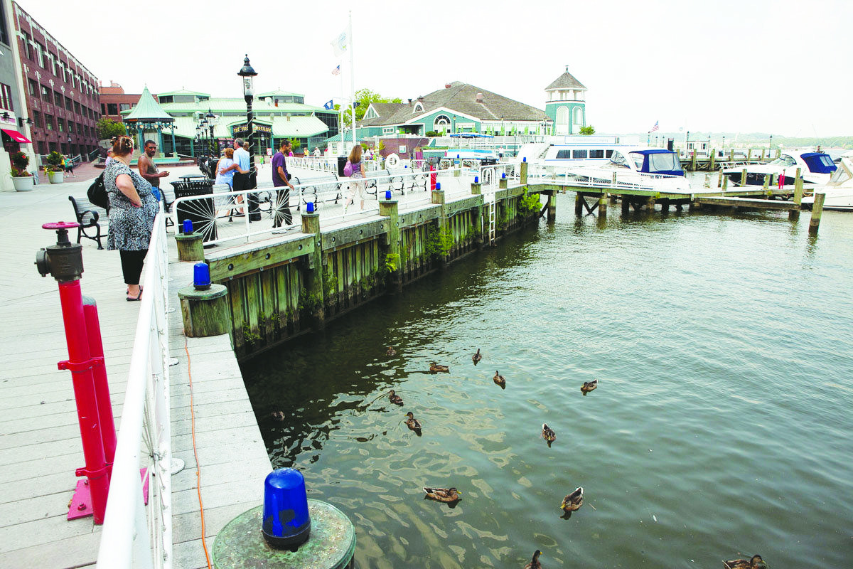 Alexandria City Council votes to implement waterfront plan