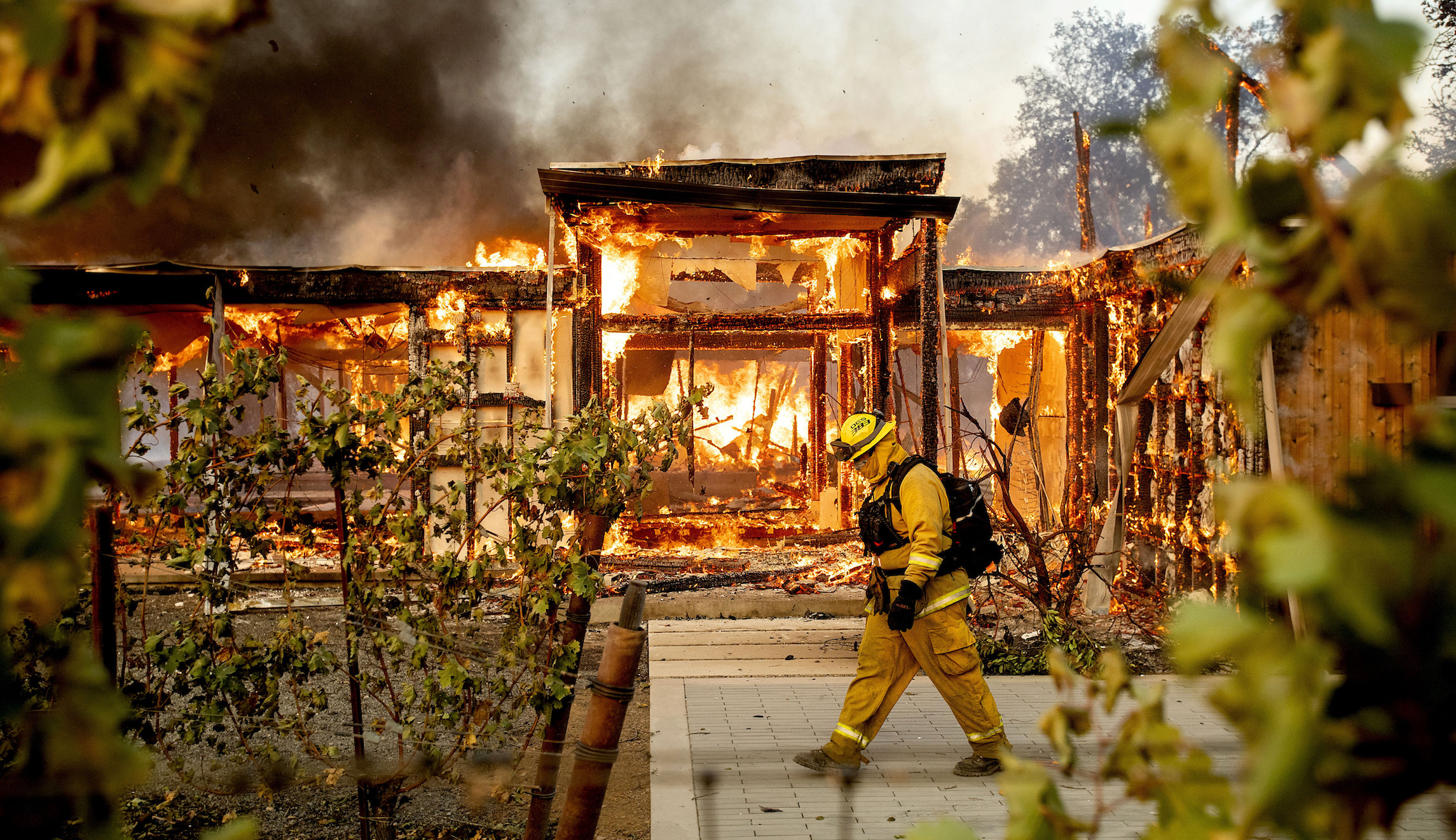 California declares statewide emergency over wildfires