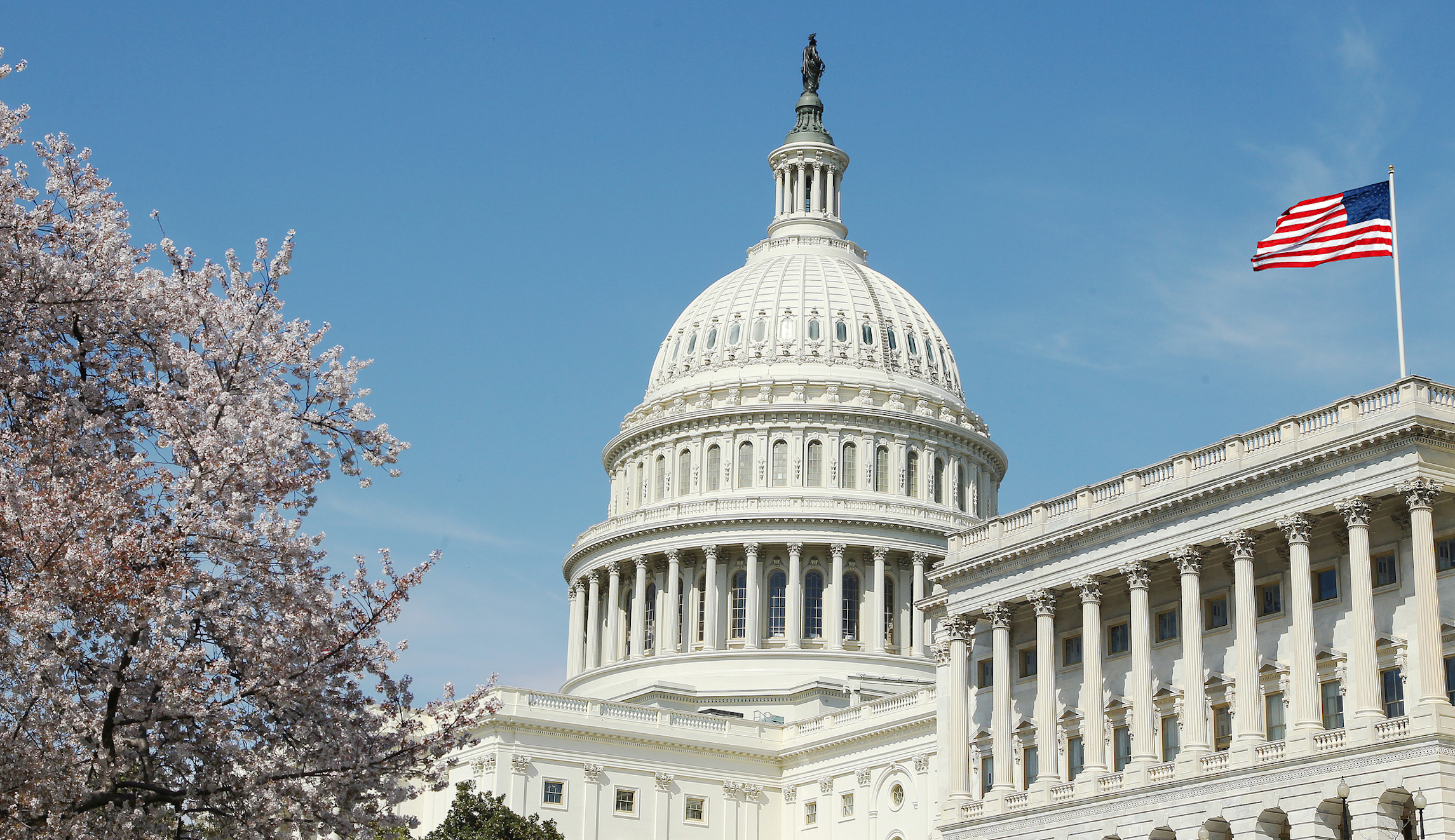11 people arrested during impeachment protests in Senate office buildings