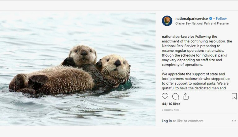 A picture of otters on the National Park Service's Instagram account is shown.