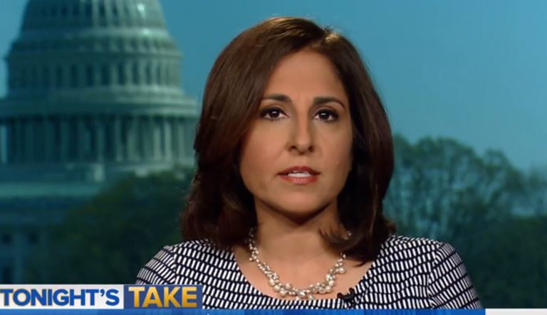 Neera Tanden is seen on MSNBC.