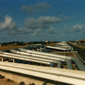 Study Long; Study Wrong