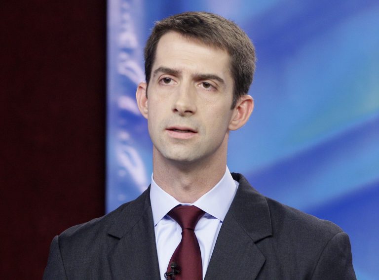 Rep. Tom Cotton, R-Ark., has a 34/26 favorable/unfavorable rating as he begins his bid for the Senate seat held by Mark Pryor, a Democrat. (AP File)