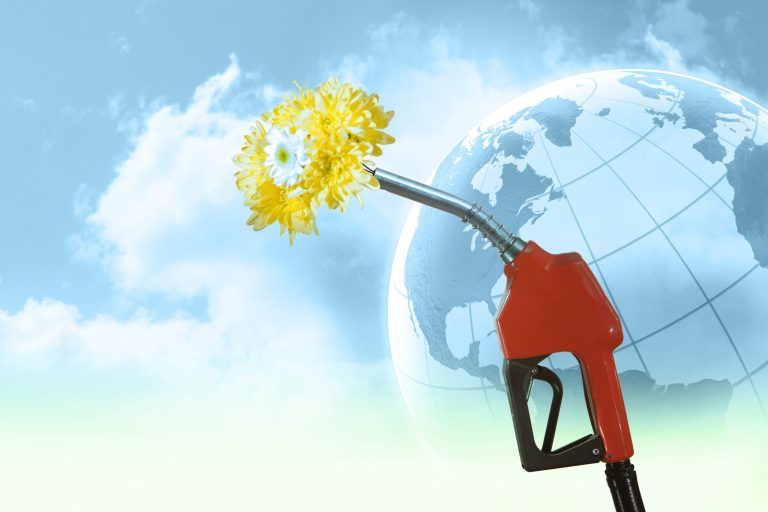 Obama campaign team rallies around executive push on climate policy