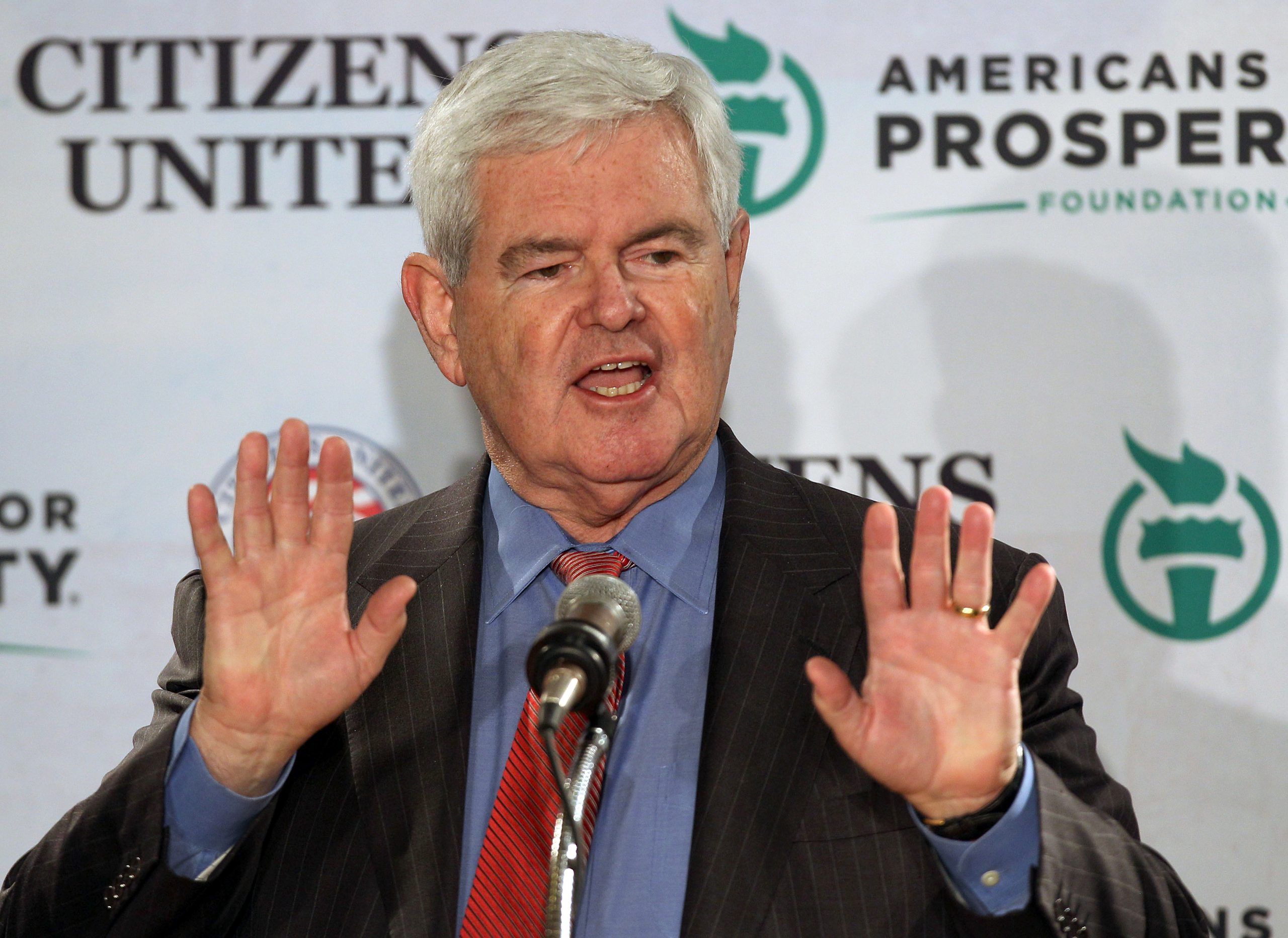 Gingrich compares Trump to grizzly bear in ‘The Revenant’