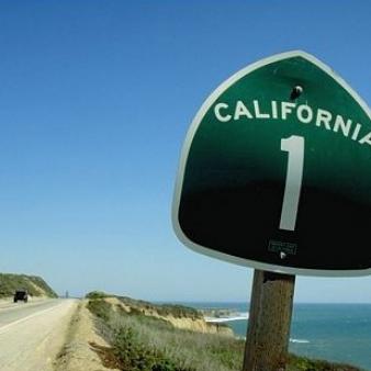 California Asks Judges: Gay or Straight?