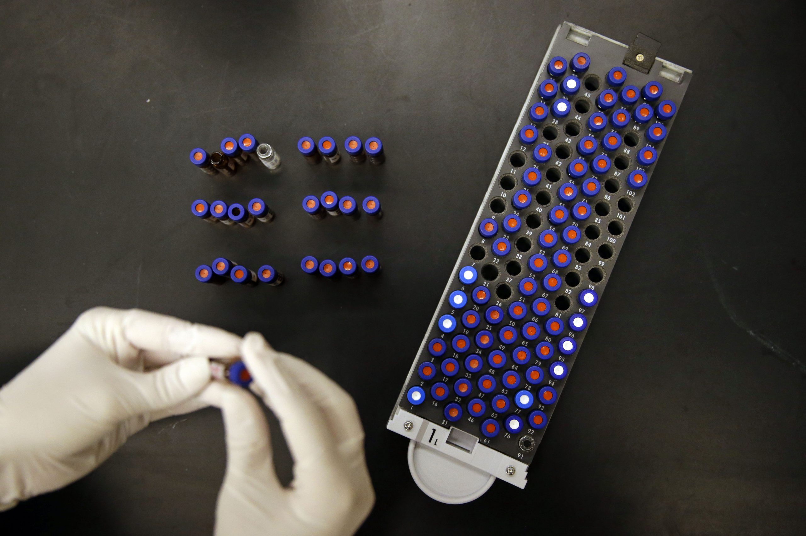 Trump administration aims to develop replacements for fetal tissue in research