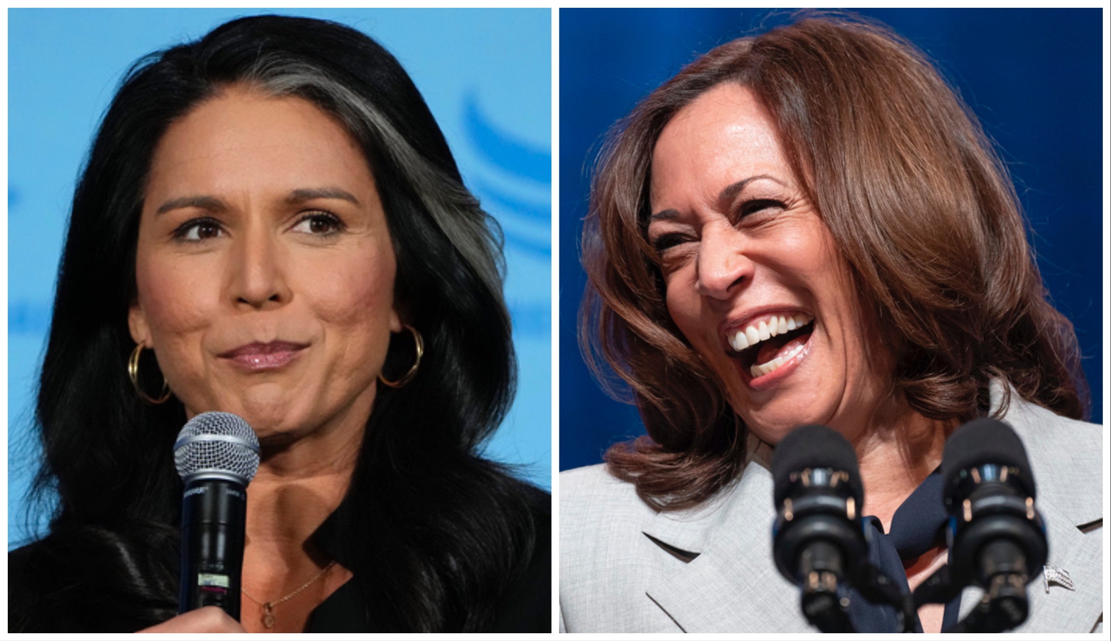 Tulsi Gabbard shreds Kamala Harris as ‘completely unqualified’ to be commander in chief