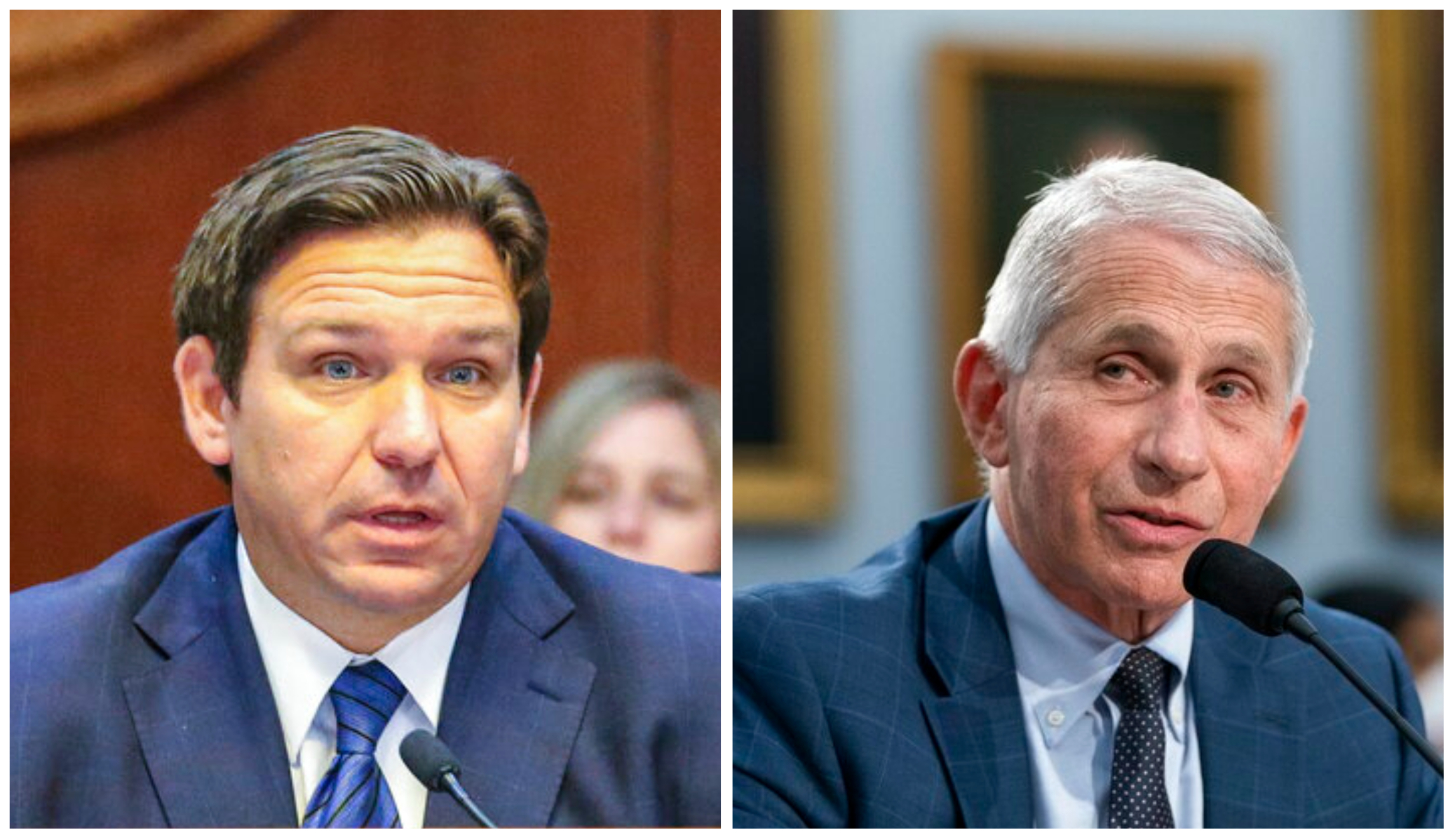DeSantis sets his sights on ‘tyrants’ like Fauci for actions during COVID-19 pandemic