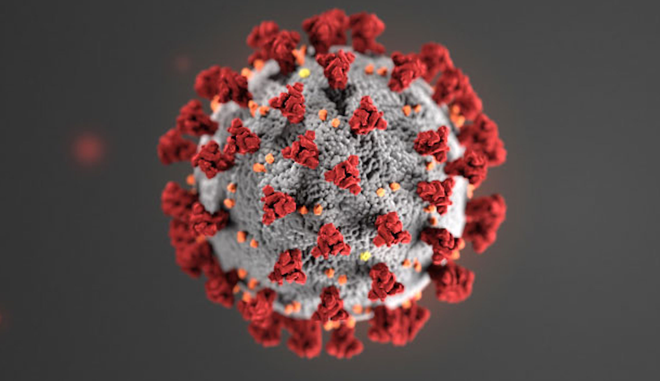 NIH director: Rapid coronavirus test system has ‘about a 15% false negative rate’
