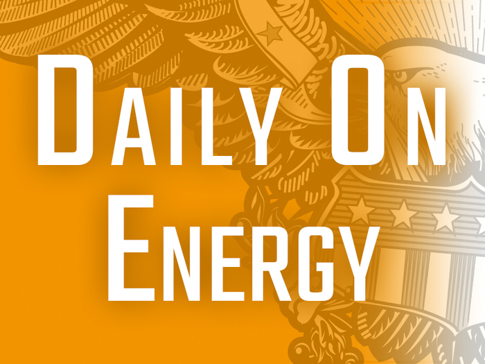 Daily on Energy: Utility industry descends on Washington with an ax to grind