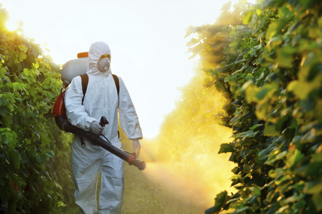 The FDA's tests for pesticides on fruits ignores the most widely used defoliant, according to the GAO. (iStock Photo)