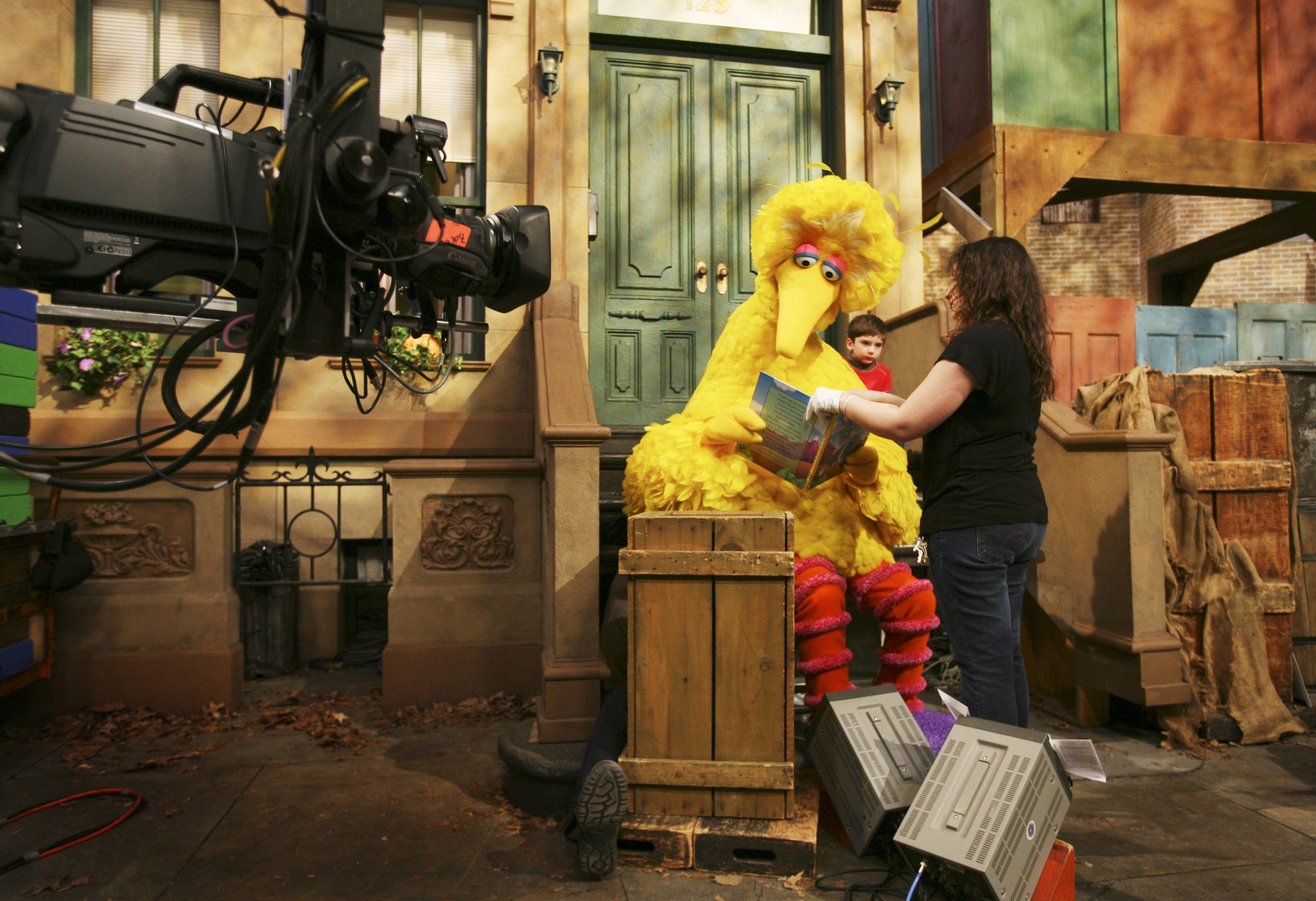 Too Big Bird to fail