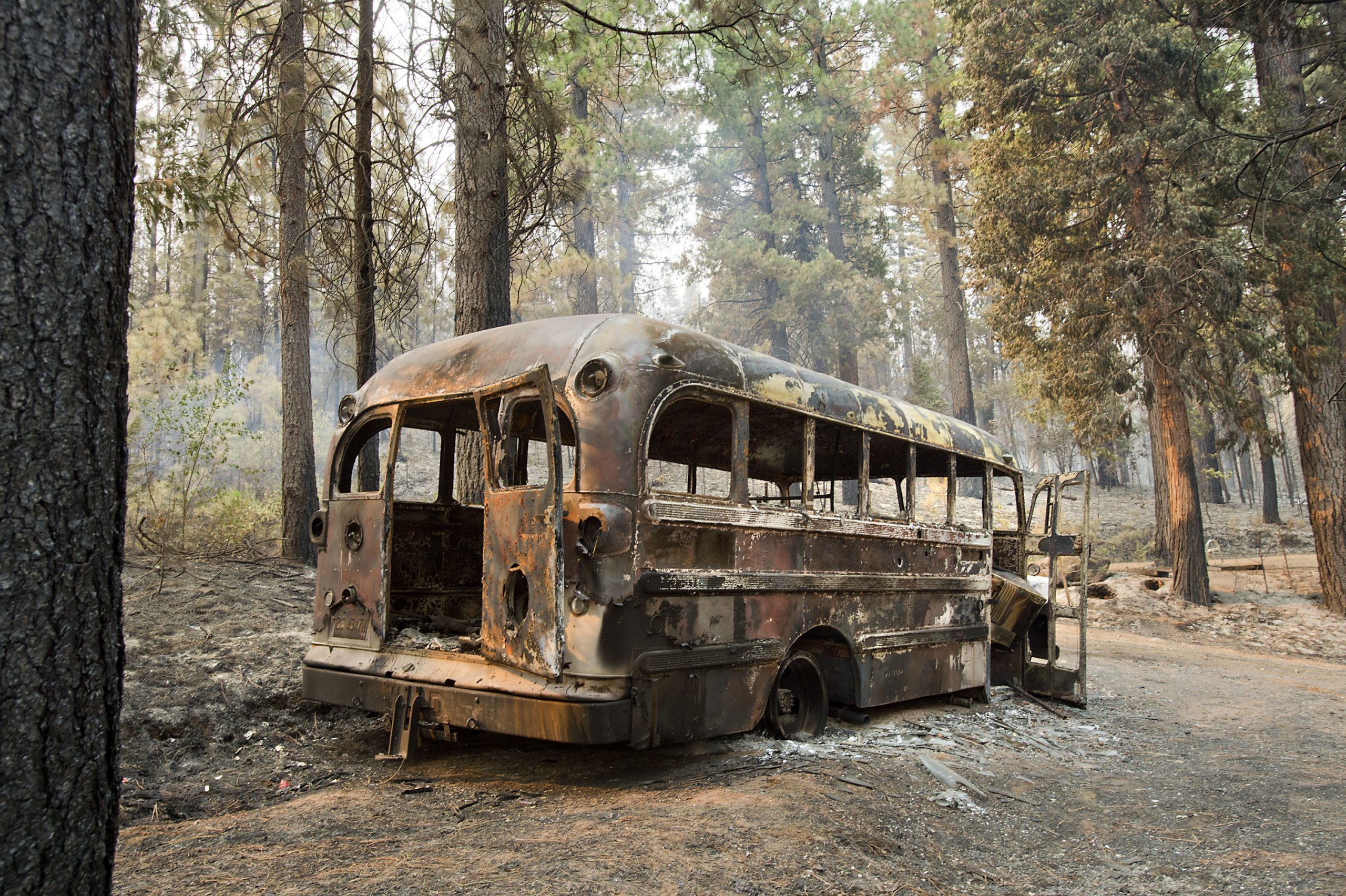 Damage review begins for Northern California fire