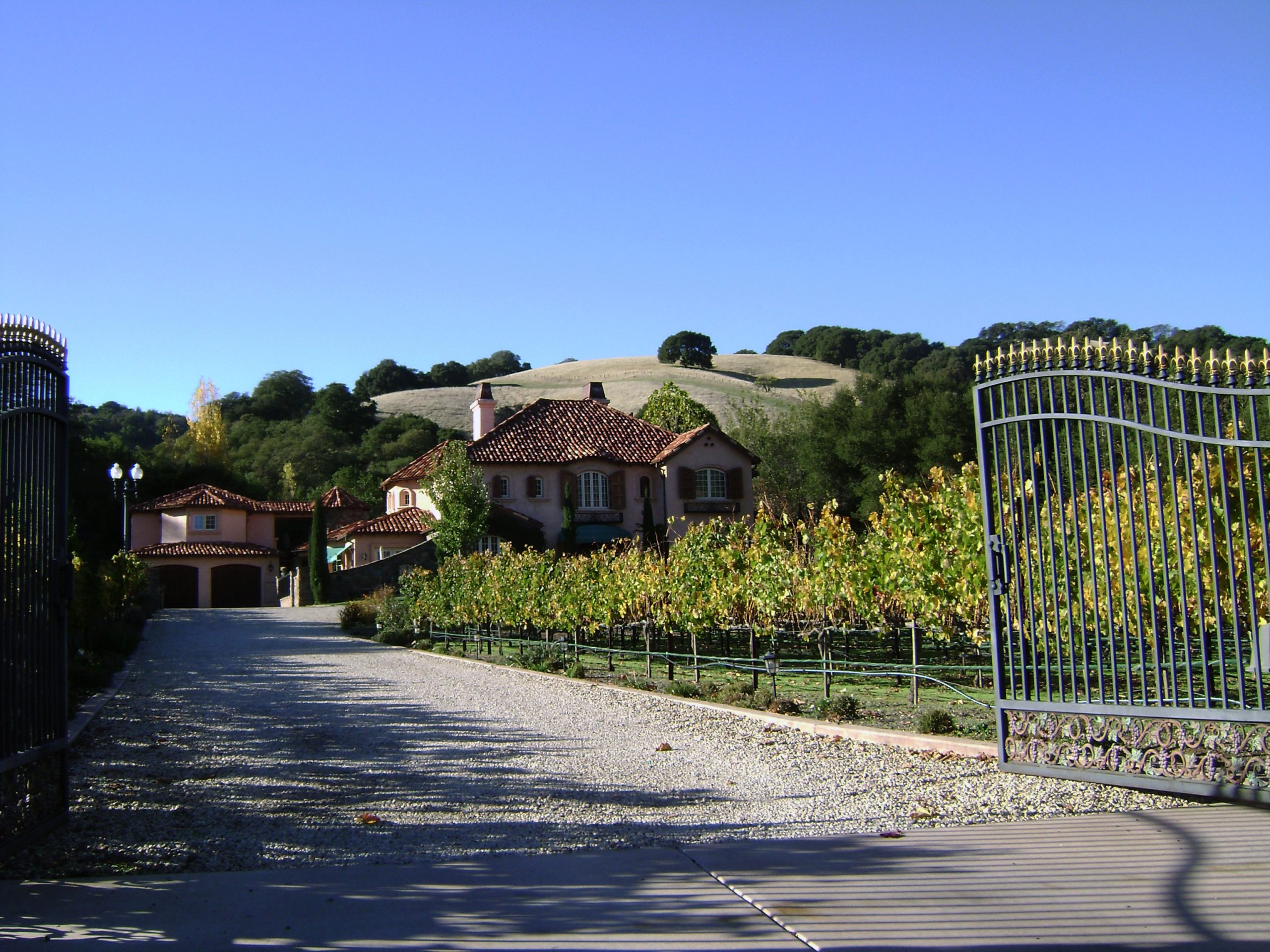 Backyard vintners do it for fun, profit, lifestyle