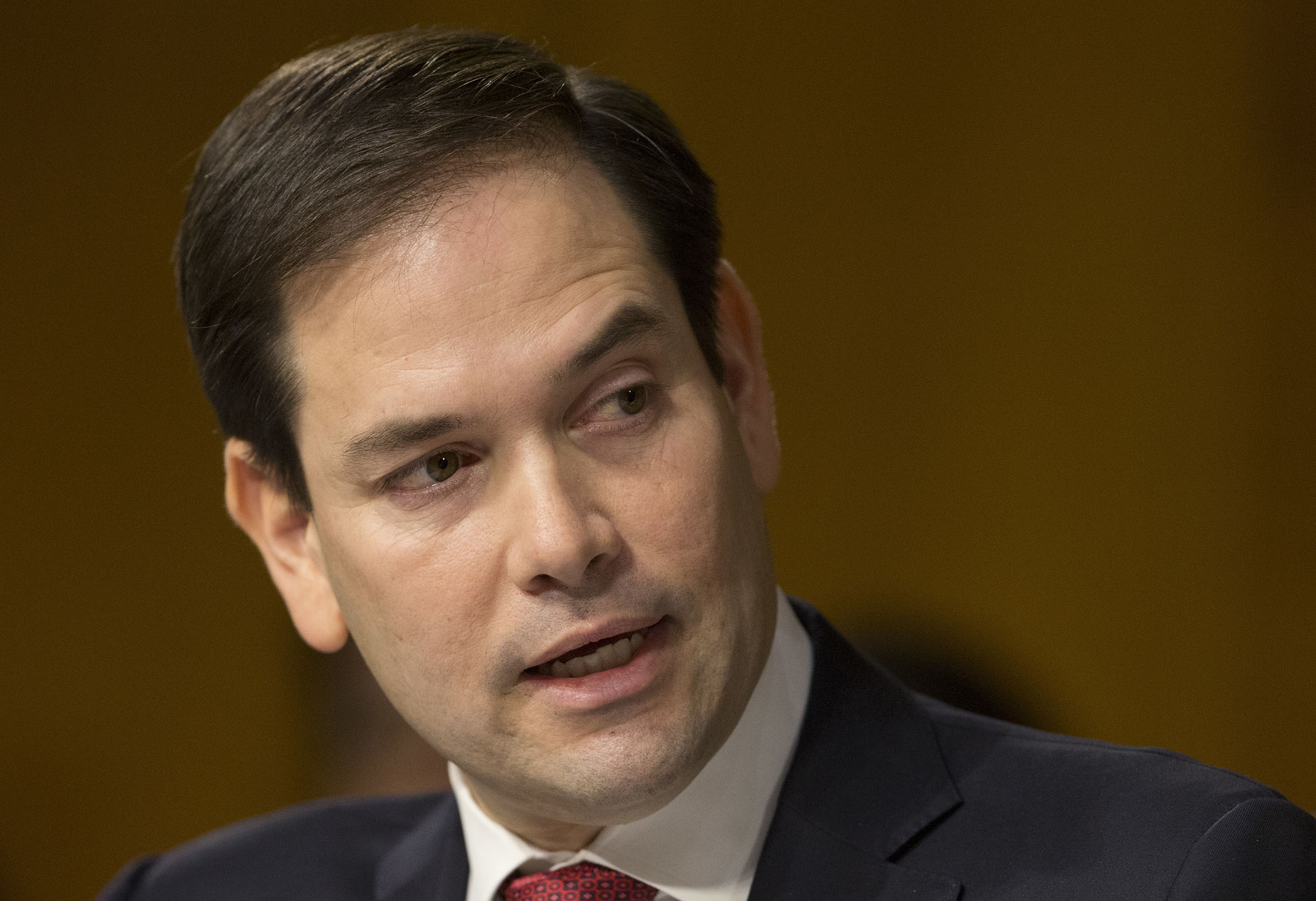 Rubio rebellion against Tillerson brewing