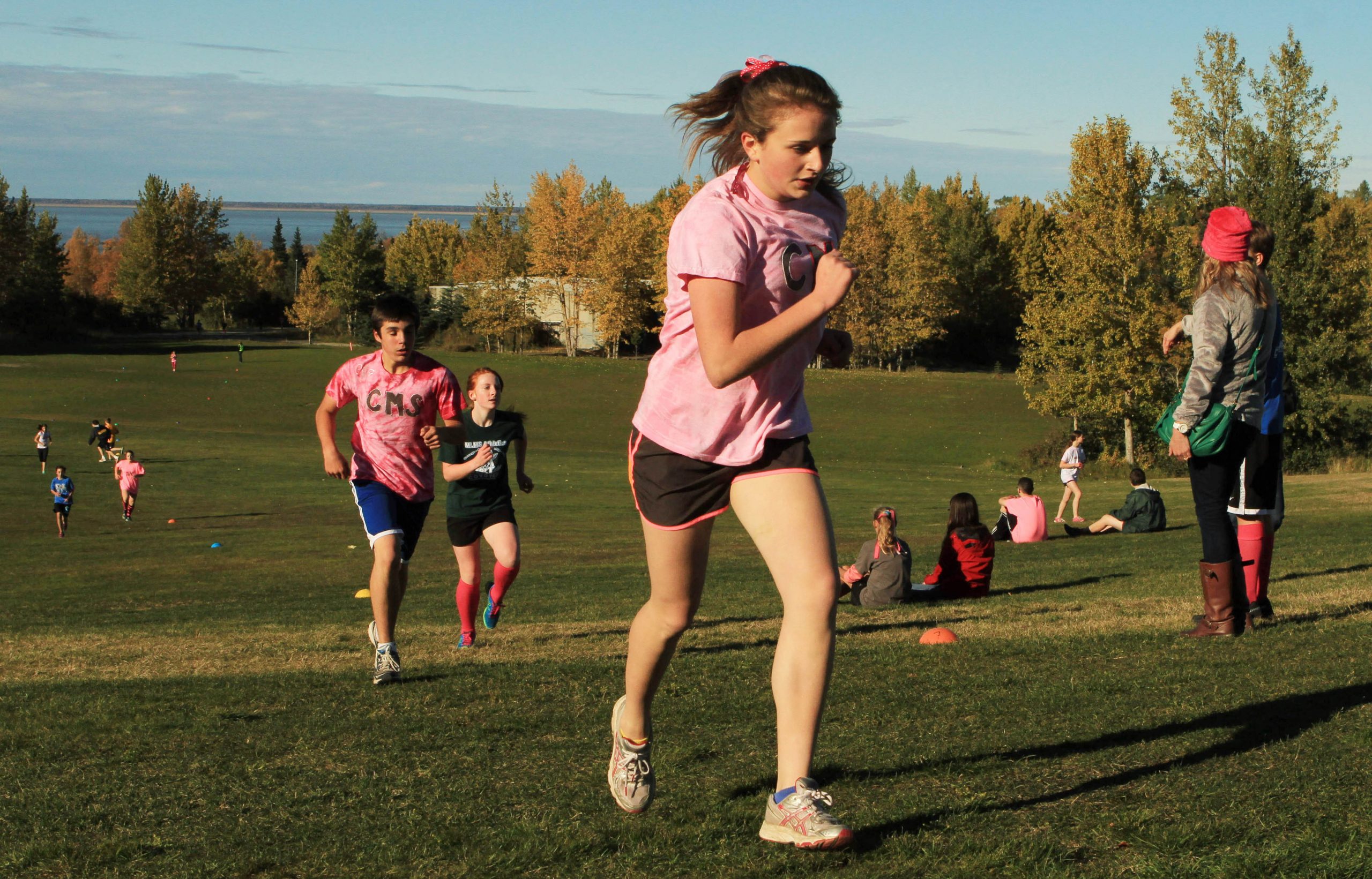Just 1 in 4 young teens meet US fitness guidelines