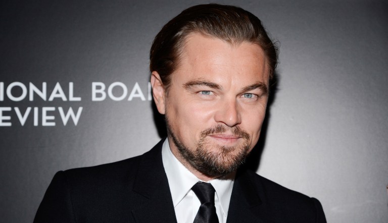 FILE - In this Jan. 7, 2014 file photo, actor Leonardo DiCaprio attends the National Board of Review awards gala at Cipriani 42nd Street, in New York.