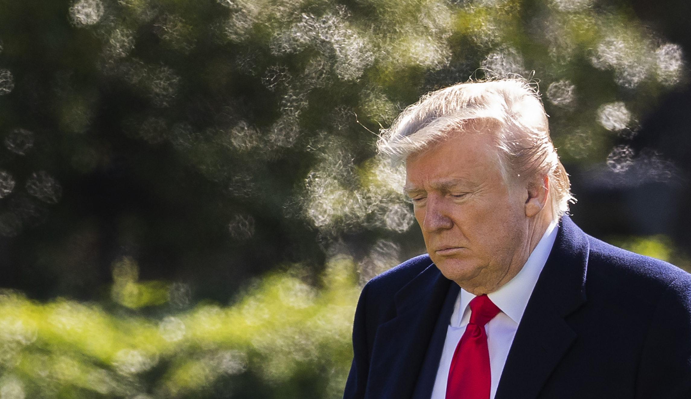 Trump Indictment Four: Too much