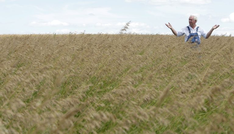 ADVANCE FOR TUESDAY, NOV. 12 AND THEREAFTER - In this July 26, 2013, photo, Leroy Perkins stands in his field of grass which is part of the Conservation Reserve Program near Corydon, Iowa. Perkins must decide whether to leave the highly erodible land in grass or break ground for corn production to cash in on high prices caused in part by the ethanol mandate. (AP Photo/Charlie Riedel)