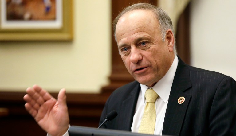 In this Jan. 23, 2014, file photo, Rep. Steve King, R-Iowa, of Iowa speaks in Des Moines.