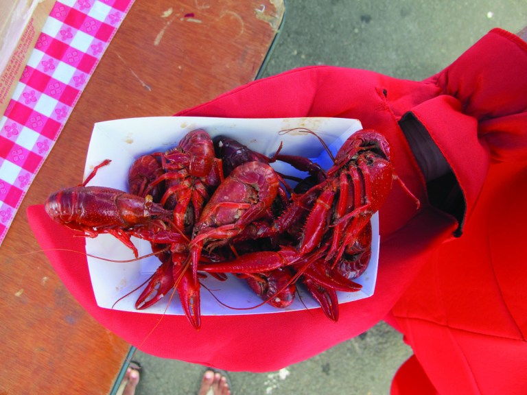 Take 5: Crystal Car, Truckeroo, New Kids on the Block and more