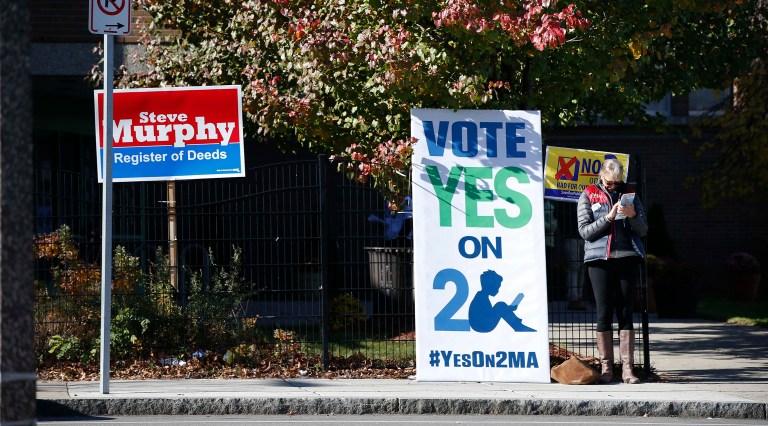 Massachusetts voted against expanding school choice on Tuesday, as ballot initiative Question 2 was voted down. (AP Photo/Michael Dwyer)