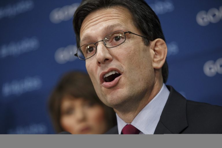 For the second time in six months, a group of pro-immigration protesters stormed inside the private northern Virginia residence of House Majority Leader Eric Cantor, R-Va. (AP Photo/J. Scott Applewhite)