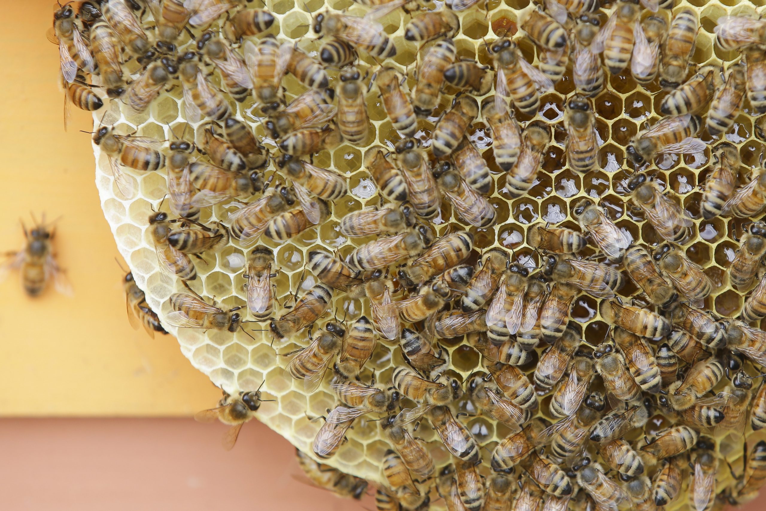 The population-control movement remains grounded in the assumption that humans are bad