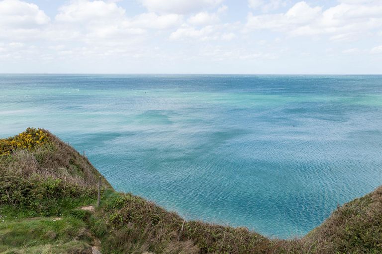 Prufrock: Van Gogh in the Asylum, Therapeutic Identity Politics, and Swimming the English Channel at 11