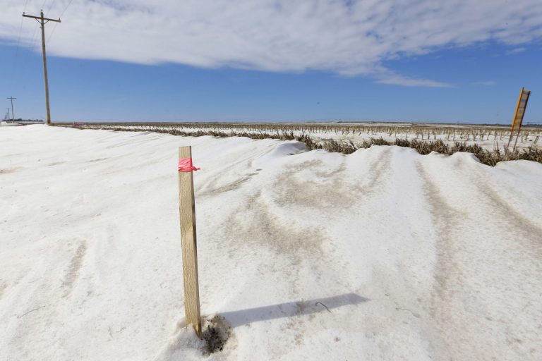 A wooden stick with a pink ribbon marks the proposed route of the Keystone XL pipeline through farmland near Bradshaw, Neb., in March 2013. (AP Photo/Nati Harnik)